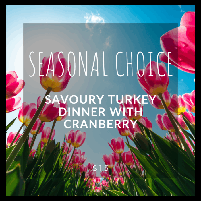 SEASONAL FEATURE - SAVOURY TURKEY DINNER with CRANBERRY